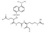 Dansyl-Glu-Gly-Arg-Chloromethylketone