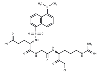 Dansyl-Glu-Gly-Arg-Chloromethylketone
