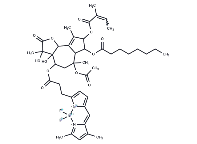 BODIPY FL Thapsigargin CgoaEWbZj12EZL7dAAAAAO CIM8666- Immunomart