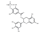 EGCG-4″-sulfate