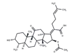 11-Keto fusidic acid