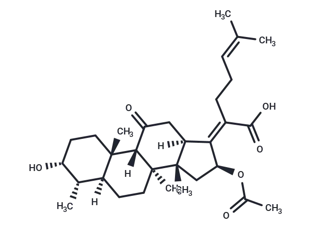 11-Keto fusidic acid