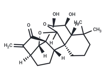 Xerophilusin B
