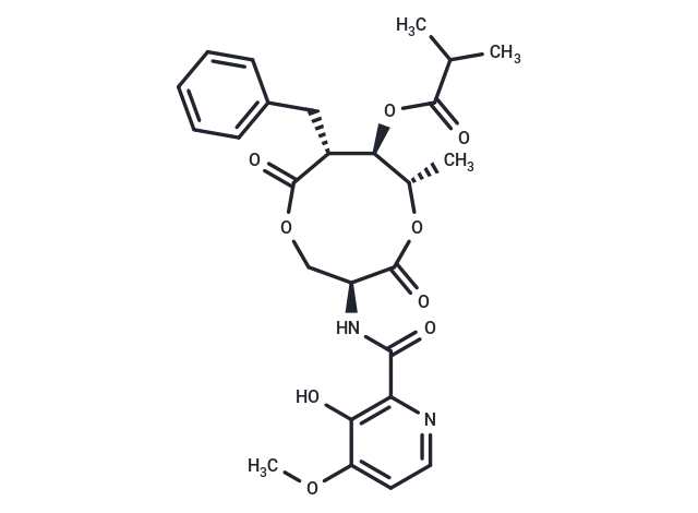 UK-2A CgoaEWbZj3OER y4AAAAAI1yXsM656- Immunomart