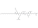 N-Myristoyl-Lys-Arg-Thr-Leu-Arg