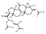 Ganorbiformin B