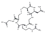 Aminopeptidase N Ligand (CD13) NGR peptide