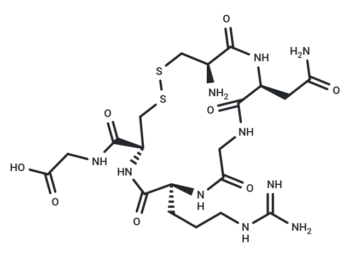 Aminopeptidase N Ligand (CD13) NGR peptide