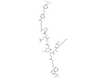 TNO211