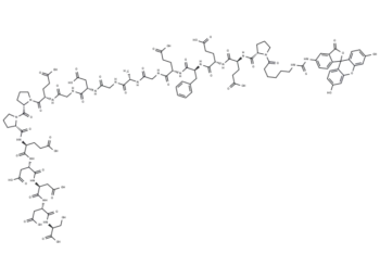 FITC-εAhx-HHV-2 Envelope Glycoprotein G (561-578)
