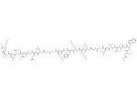 XT-2 peptide