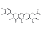 Quercetin 7-glucuronide
