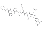 Prostate Specific Antigen Substrate