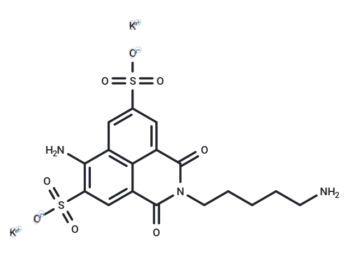 Lucifer yellow cadaverine