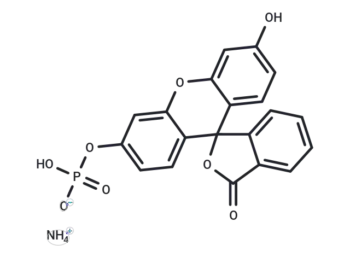 Fluorescein-diphosphat ammonium