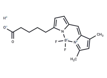 BODIPY FL C5