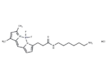 BDP FL amine hydrochloride