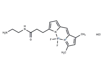 BODIPY FL-EDA