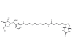 Adenosine 2′-PEG-Biotin