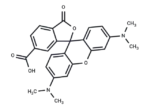 6-TAMRA free acid