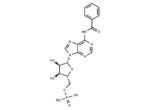 6-Bnz-5′-AMP