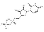 Uridine 5′-O-thiodiphosphate