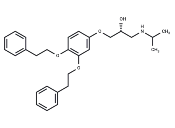 YOK-2204