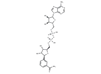 β-Benzamide adenine dinucleotide