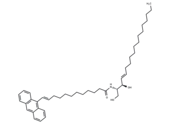 C10 AV Ceramide (d18:1/10:0)