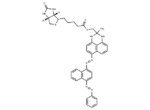 SBB-Analogue (GL13) Biotin