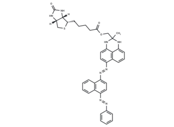 SBB-Analogue (GL13) Biotin