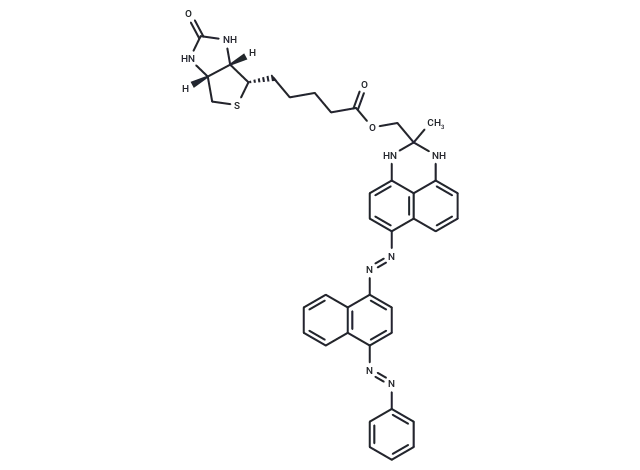 SBB-Analogue (GL13) Biotin