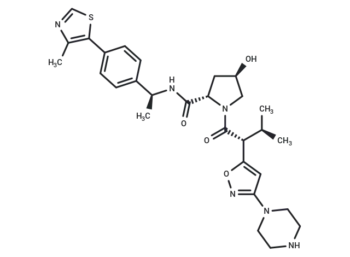 E3 Ligase Ligand-linker Conjugate 113