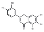 6-Hydroxyluteolin