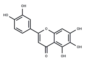 6-Hydroxyluteolin