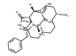 Dihydrocytochalasin B