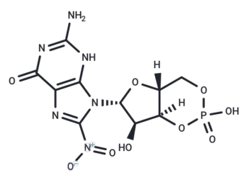 8-Nitro-cGMP