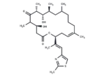 Epothilone D1