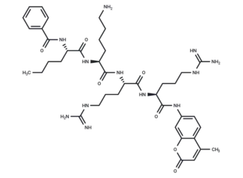 Bz-Nle-Lys-Arg-Arg-AMC
