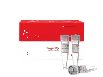 Universal SYBR Green qPCR Master Mix