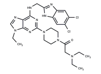 LL-K12-18