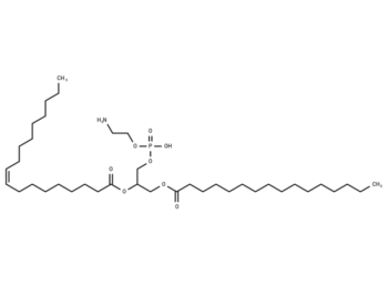 1-Palmitoyl-2-oleoylphosphatidylethanolamine