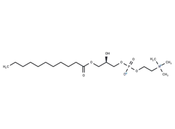 1-undecanoyl-2-hydroxy-sn-glycero-3-phosphocholine