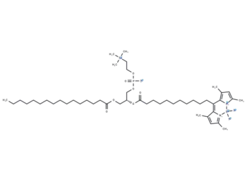 1-Palmitoyl-2-(dipyrrometheneboron difluoride)undecanoyl-sn-glycero-3-phosphocholine