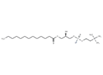 1-Tridecanoyl-2-hydroxy-sn-glycero-3-phosphocholine