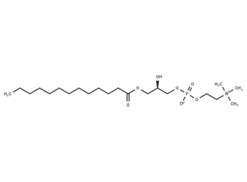 1-Tridecanoyl-2-hydroxy-sn-glycero-3-phosphocholine