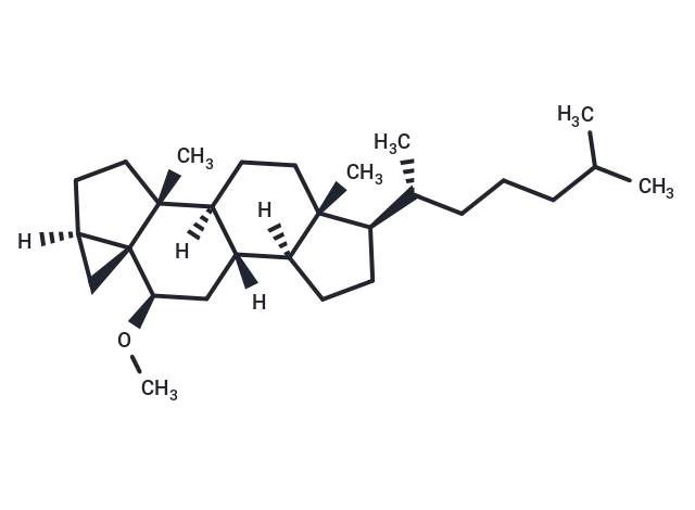 i-Cholesteryl methyl ether