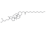 Cholesterol laurate 1 Cholesterol laurate