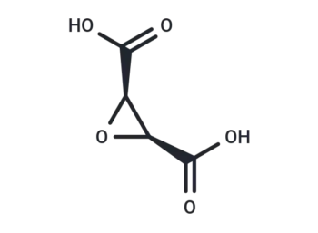 cis-Epoxysuccinic acid
