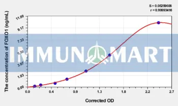 Mouse FOXO1(Forkhead Box Protein O1) ELISA Kit